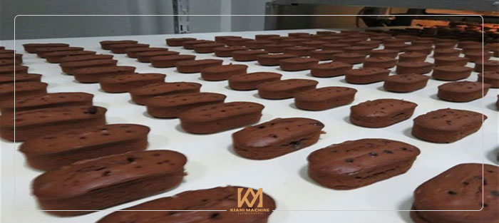 آموزش فرمول انواع کیک های صنعتی