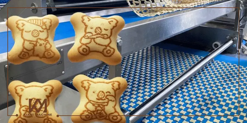 راه اندازی خط تولید کیک و کلوچه - کیانی ماشین